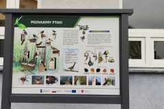 IMG-20251204-WA0004
