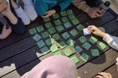 Image-8