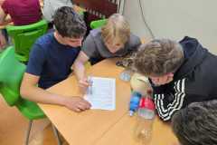 IMG-20250508-WA0016