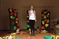 IMG_20181129_173952877_BURST000_COVER