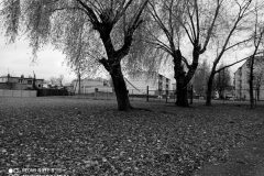 Jan-Wojnowski-2a-1-scaled