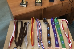 F133DA59-49EA-4E16-B231-7D38430D5E29