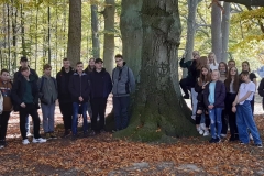 250581243_636595727751028_8251447118796859746_n