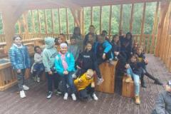 MicrosoftTeams-image-15