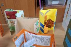 d22e395c-dcb2-45fe-b755-cd4b61f738e6