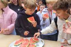 IMG-20251001-WA0007