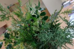 IMG_20211215_163204074-scaled-e1639726546190