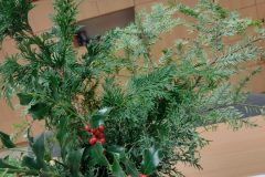 IMG_20211215_163216763-scaled