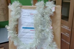 IMG_20211216_110335088-scaled