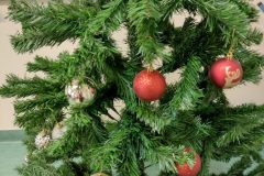 IMG_20211216_110525796_HDR-scaled