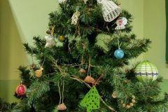 IMG_20211216_110621065_HDR-scaled