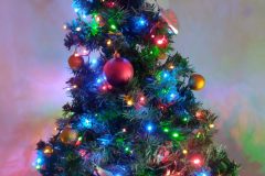 IMG_20211216_125758755-scaled