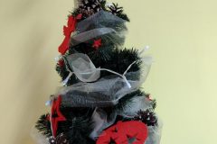 IMG_20211216_143744014-scaled