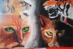 IMG_20200120_122338a