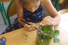 received_2787389804836702