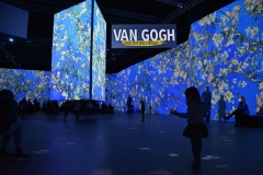 Van-Gogh-Wroclaw-32-min