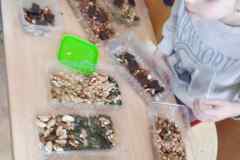 Bjcomh5a
