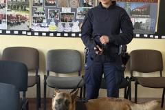 d365a0c3-ccb4-4195-9393-140e1a56b031