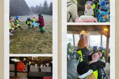 50dd2db8-584a-4167-9745-cb9bc237a38b