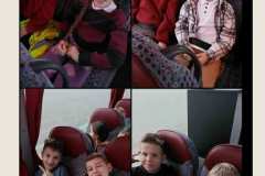 9a7bf5ea-bd7d-4a87-ac35-6289cf4acc05