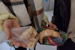 IMG_20211110_104824455_HDR-scaled