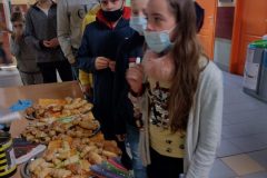 IMG_20211110_104950687_HDR-1-scaled