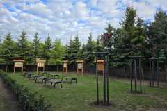 IMG-20250513-WA0005