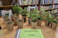IMG-20250513-WA0011