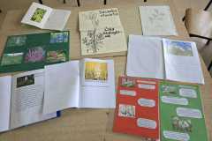 IMG-20250513-WA0014