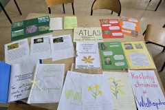 IMG-20250513-WA0015