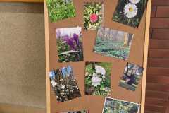 IMG-20250513-WA0016