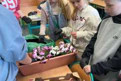 IMG-20250513-WA0020
