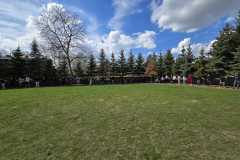 IMG-20250513-WA0031