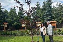 IMG-20250526-WA0001
