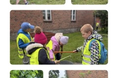 Image-10