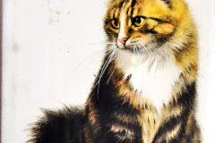 oryginalna-okladka-scaled