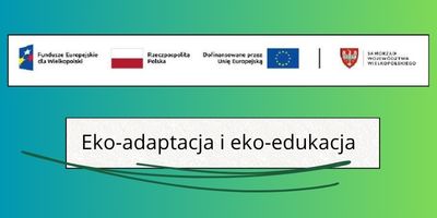 eko adaptacja